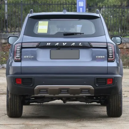 Havel Big Dog Gas Car Used Car 2021 Vehicle Gas Supply Automobile After Sales Available
