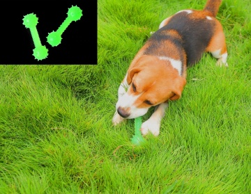 Đồ chơi cho chó nhai tương tác Glow In The Dark