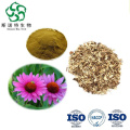 Echinacea Extract - High-Potency Purple Coneflower Herbal Supplement