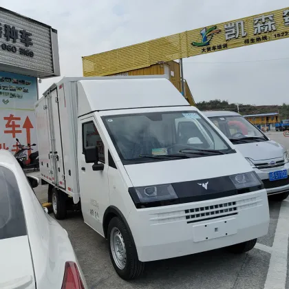D08 Conventional van electric vehicle