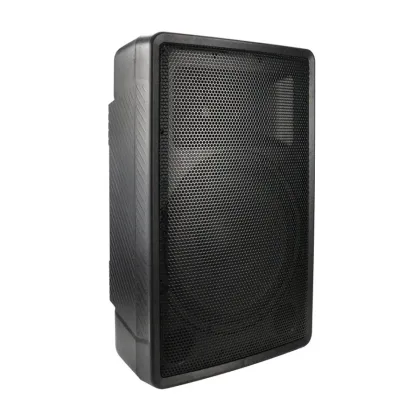 15 "professional stage sound equipment
