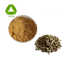 Siberian Cocklebur Fruit Extract Powder Natural