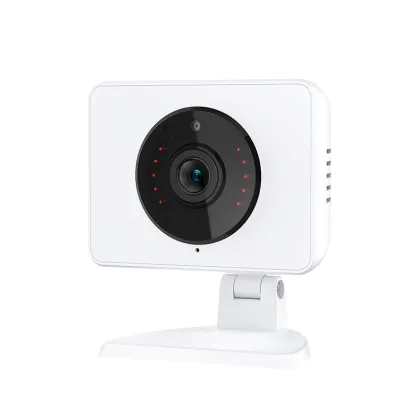 Tuya App vision mini wireless camera
