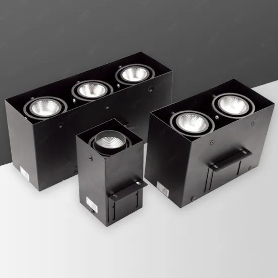 Double Heads Downlight Down Spotlight LED Grid Light