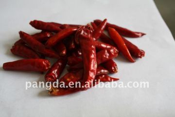 Red Chilli Pepper