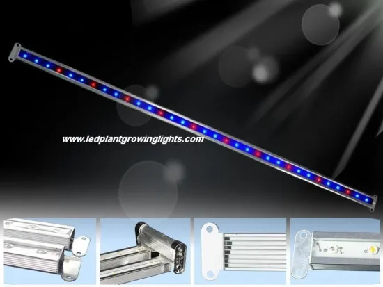 Waterproof 33w Indoor Led Plant Growing Lights Strip 7500k With High Efficiency