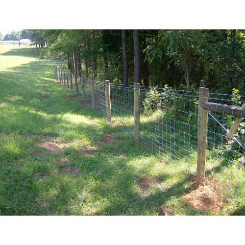 farm guard filed fence fixed knot deer fence