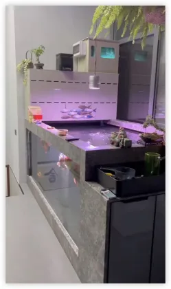 Koi Pond Drum Filter System for Fish Farming