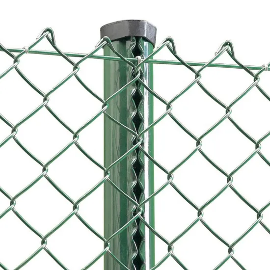 Competitive Price Chain Link Fence for Farms