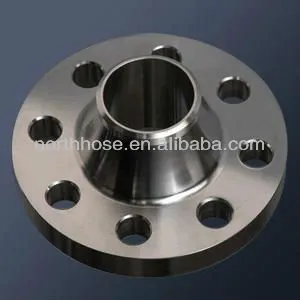 ANSI flange