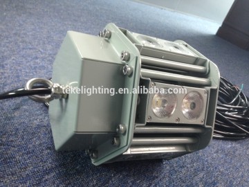 Deep Drop underwater LED fishing light