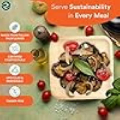 100 - count 6 - inch Square Palm Leaf Plates, Disposable, Eco - Friendly, Biodegradable Bamboo Plates for Party, Cateri