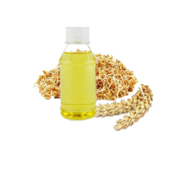 OEM products  wheat germ oil  for bulk