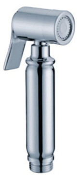 Hand Brass Rainfull Shower Head