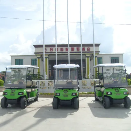 Electric Golf Cart Battery: 6-Passenger Vehicle Solutions