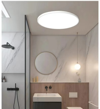Simple Ceiling Lights for Living Room, Balcony, and Veranda