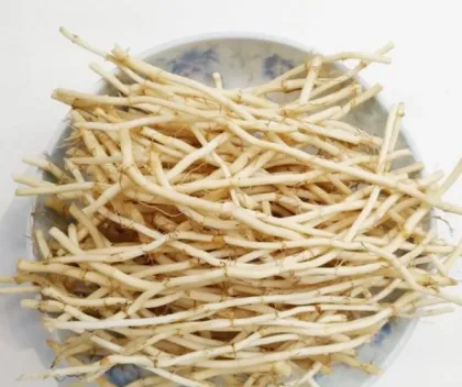 Houttuynia cordata Thunb.