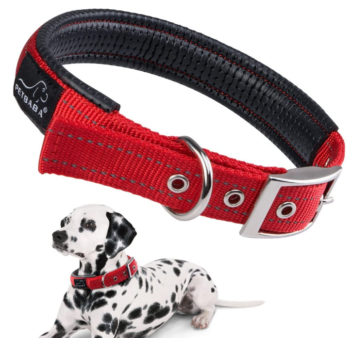 Soft Padded Dog Collar With Buckle