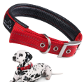 Soft Padded Dog Collar with Buckle