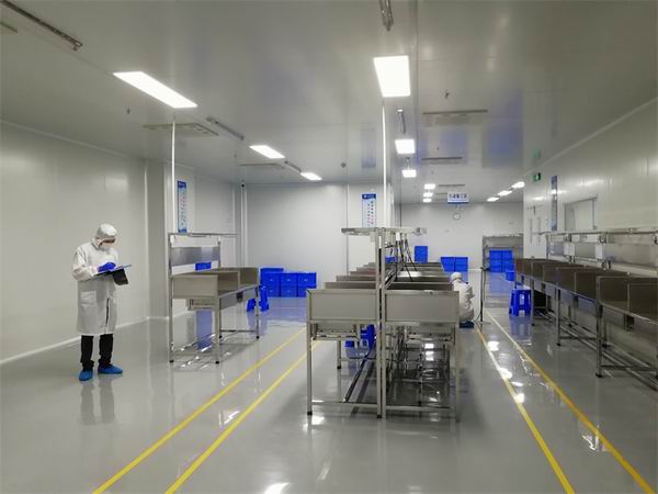 Membersihkan Bilik Kilang Makanan Brazil Bossgoo Com