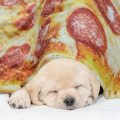 Funny Wrap Pizza Burrito Taco Trovate rotonda coperta