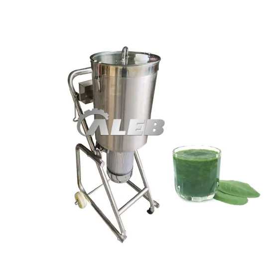 High-Quality Mini Chopper: Perfect for Carrot, Pork, Ice Pepper Mashing & Crushing in Lab