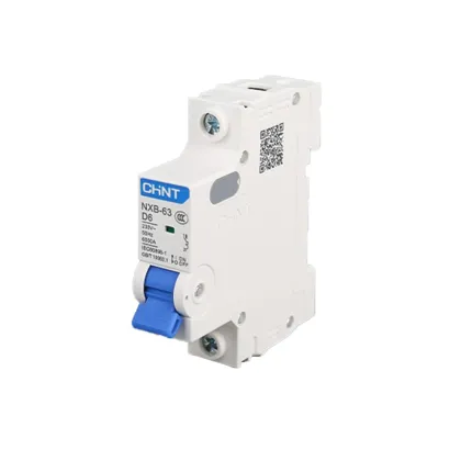 Chint NXB-63 D Type Power Mini Circuit Breaker 10A-63A DZ47 Air Switch