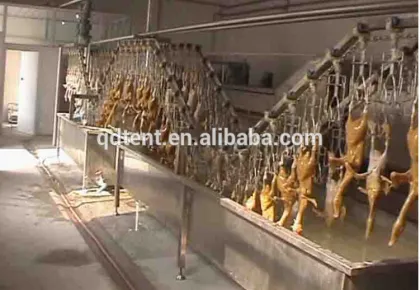 practical and economic duck slaughtering equipment duck slaughter line