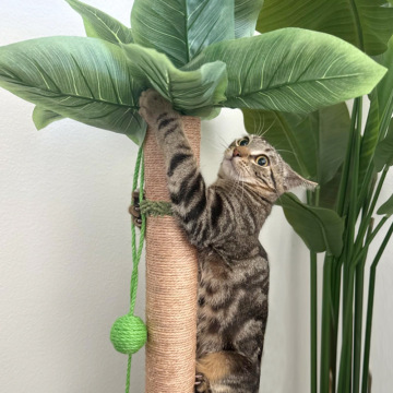 Cat Scratcher Tall cat scratcher cat scratch furniture protector Supplier