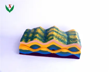 Crustal Change Demonstrator for Geology and Geography Classes