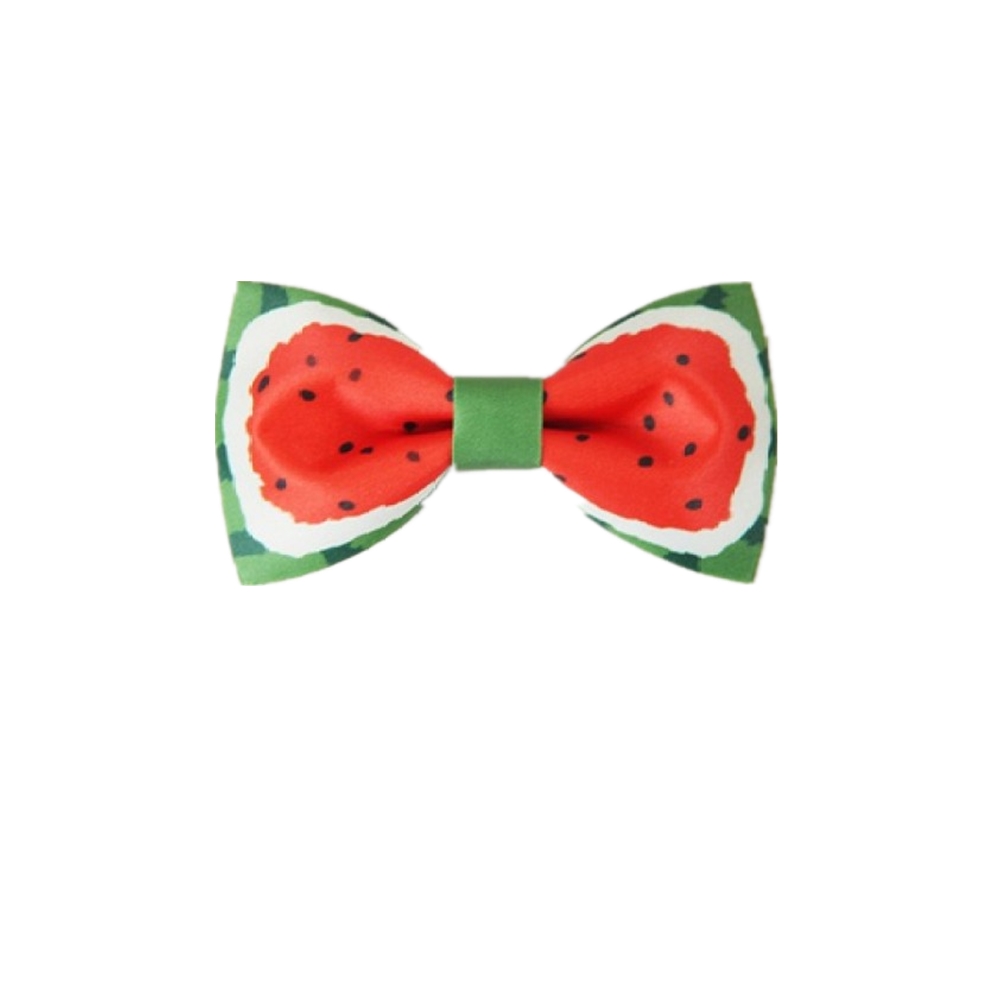 watermelon printing bowtie