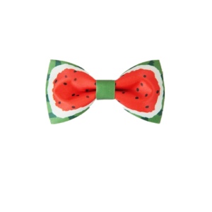 fruits printing cute neckbow bowtie for party