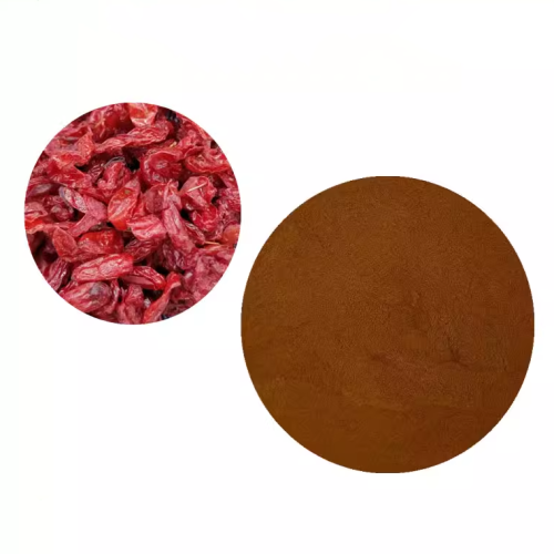 Dogwood Extract Powder for Male