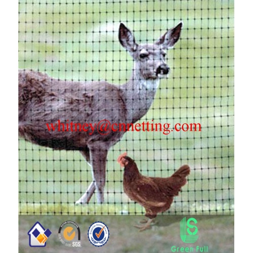 BOP Anti Bird Control Net from Chinese factory