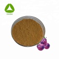 Plum Extract Powder Fruit Vegetable Powder