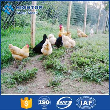 PVC coated hexagonal wire mesh fence with free layout design