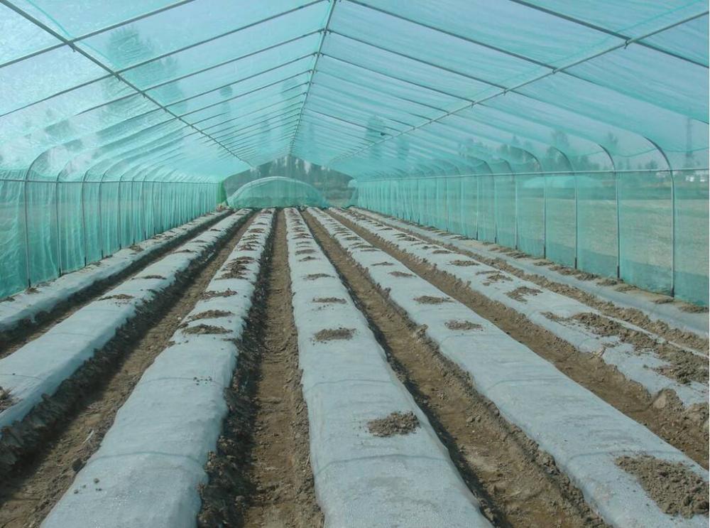 Plastic Mulch Film for Agricultural Vegetable Film