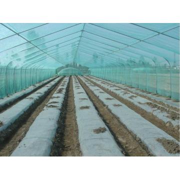 Plastic Mulch Film for Agricultural Vegetable Film