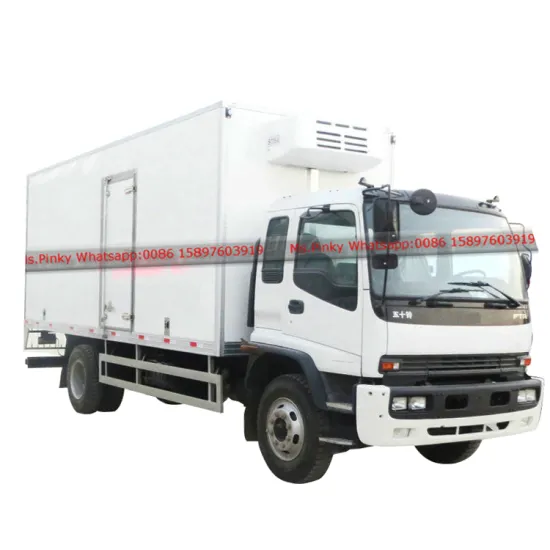 Rwanda Japanese brand Qing ling FTR 205HP Freezing Van Fruits Eggs Ice Cream Fresh Meat Cooler Truck