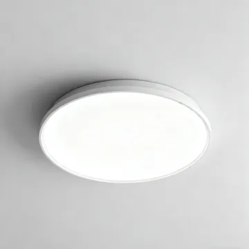High Brightness LED Ceiling Lamp