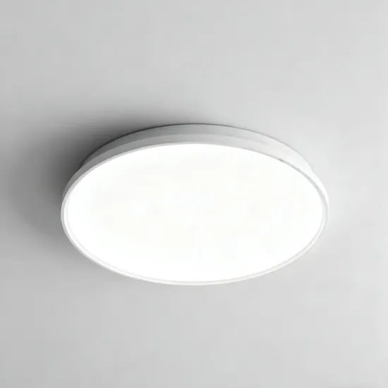 High Brightness LED Ceiling Lamp