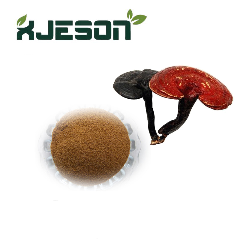 China Supplier Ganoderma Lucidum Extract With Free Samples