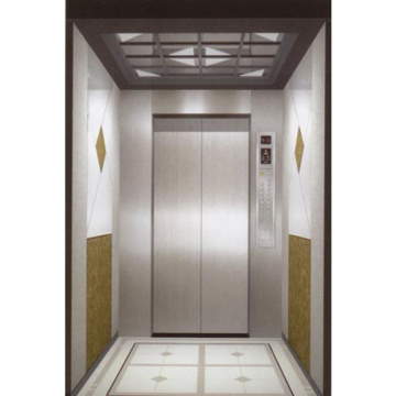 Safe And Effective Passenger Elevator