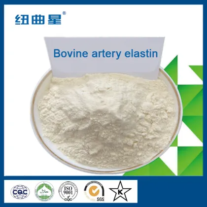 Cow and horse artery elastin protein peptide
