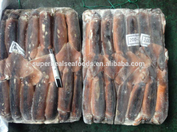 Good fresh Illex Squid