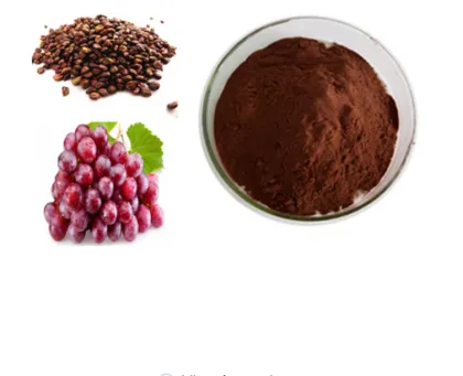 Fruit Extract Organic OPC Grape Seed Extract Powder