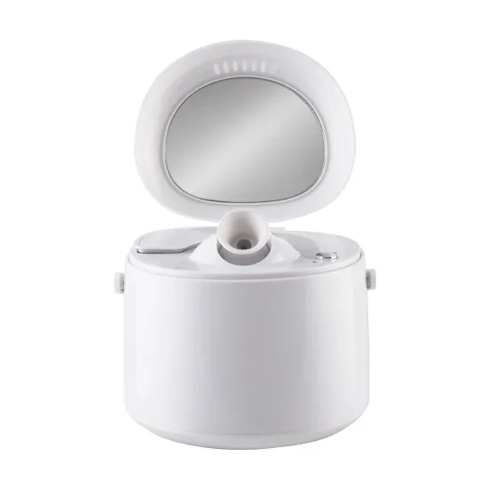 Mist Sprayer Ionic Spray Nano Portable Facial Steamer
