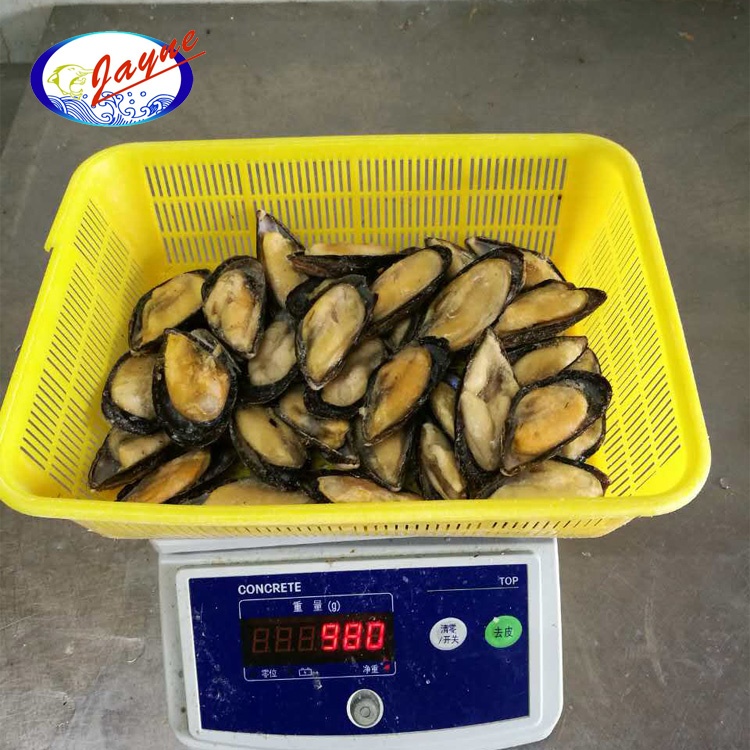 Fresh Frozen Mussel Meat Shellfish Detail Half Shell Mussel Frozen ...