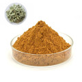 Apocynum Venetum Extract Powder