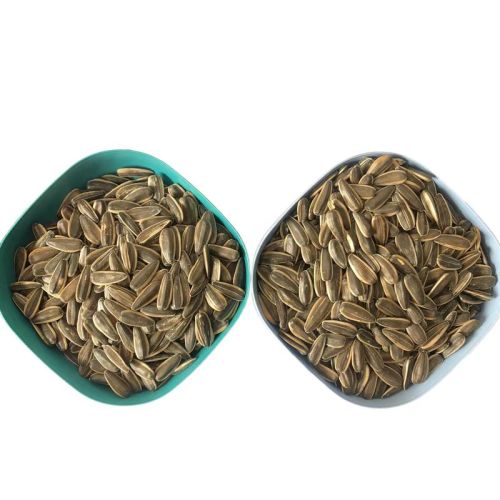 Best Quality Sunflower Seeds Type 363/361